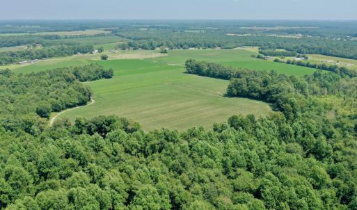 Photo #30 of SOLD property in Off Center Hill Road, Tyner, NC 56.8 acres