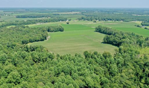 Photo #31 of SOLD property in Off Center Hill Road, Tyner, NC 56.8 acres