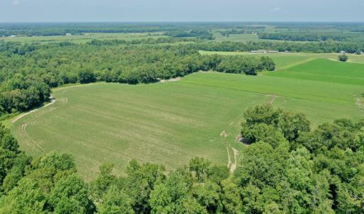 Photo #32 of SOLD property in Off Center Hill Road, Tyner, NC 56.8 acres