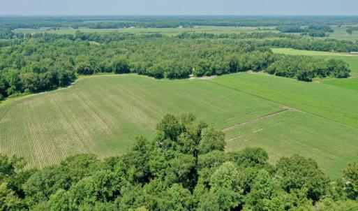 Photo #33 of SOLD property in Off Center Hill Road, Tyner, NC 56.8 acres