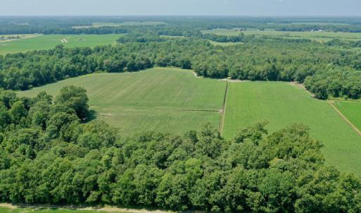 Photo #34 of SOLD property in Off Center Hill Road, Tyner, NC 56.8 acres