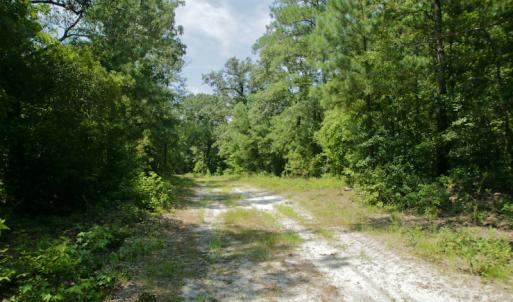 Photo #35 of SOLD property in Off Center Hill Road, Tyner, NC 56.8 acres