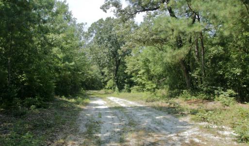 Photo #36 of SOLD property in Off Center Hill Road, Tyner, NC 56.8 acres