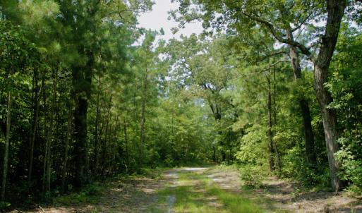 Photo #38 of SOLD property in Off Center Hill Road, Tyner, NC 56.8 acres