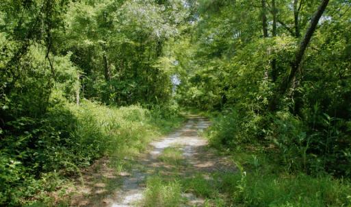 Photo #39 of SOLD property in Off Center Hill Road, Tyner, NC 56.8 acres