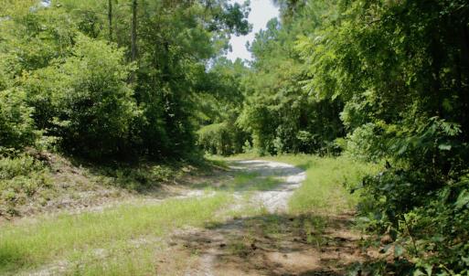 Photo #40 of SOLD property in Off Center Hill Road, Tyner, NC 56.8 acres