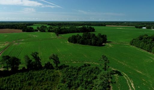 Photo #11 of SOLD property in Off Page Circle Road, Fairmont, NC 33.0 acres