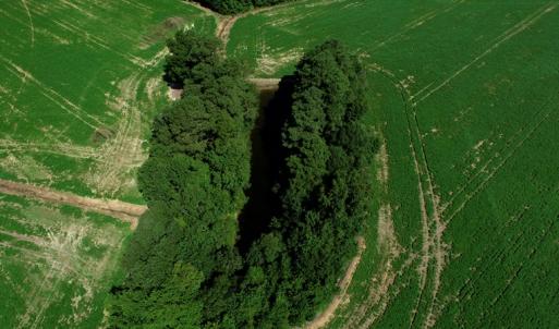 Photo #3 of SOLD property in Off Page Circle Road, Fairmont, NC 33.0 acres