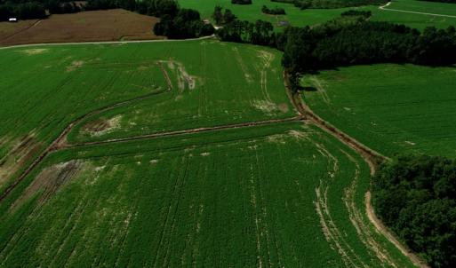 Photo #5 of SOLD property in Off Page Circle Road, Fairmont, NC 33.0 acres