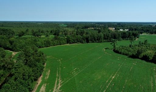 Photo #6 of SOLD property in Off Page Circle Road, Fairmont, NC 33.0 acres