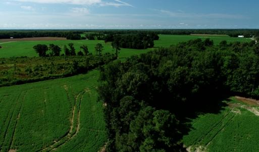 Photo #7 of SOLD property in Off Page Circle Road, Fairmont, NC 33.0 acres