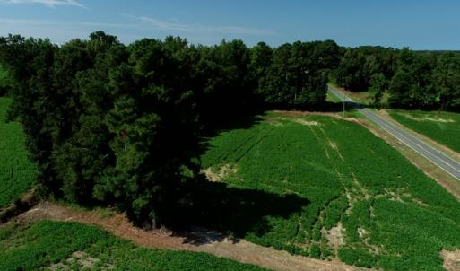 Photo #8 of SOLD property in Off Page Circle Road, Fairmont, NC 33.0 acres