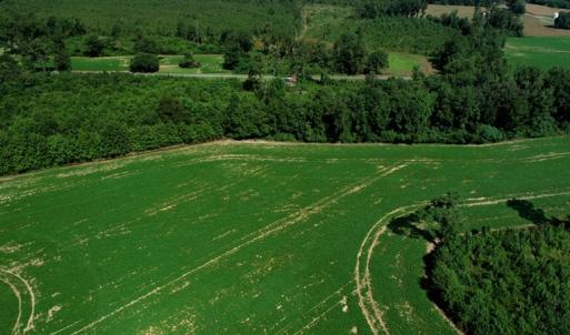 Photo #9 of SOLD property in Off Page Circle Road, Fairmont, NC 33.0 acres