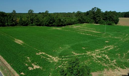 Photo #2 of SOLD property in Off Page Circle Road, Fairmont, NC 14.0 acres