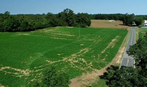 Photo #4 of SOLD property in Off Page Circle Road, Fairmont, NC 14.0 acres