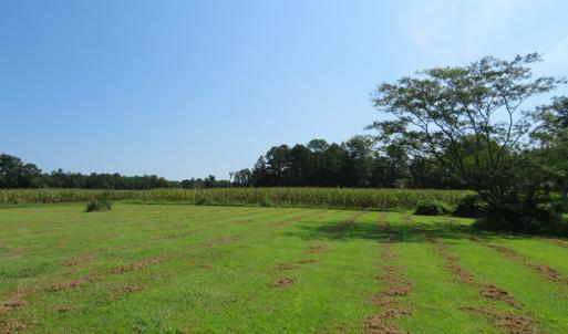 Photo #13 of SOLD property in 8061 Highway 904, Fairmont, NC 10.0 acres