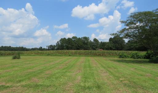 Photo #17 of SOLD property in 8061 Highway 904, Fairmont, NC 10.0 acres