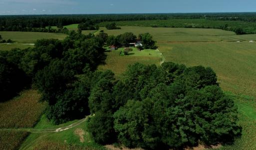 Photo #2 of SOLD property in 8061 Highway 904, Fairmont, NC 10.0 acres