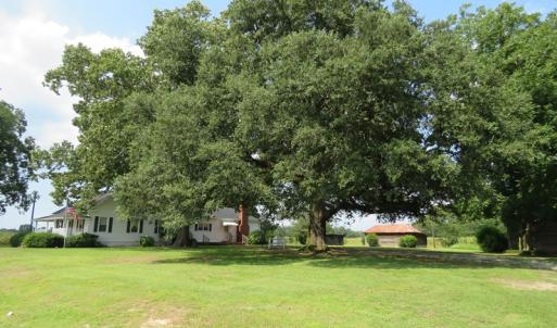 Photo #5 of SOLD property in 8061 Highway 904, Fairmont, NC 10.0 acres