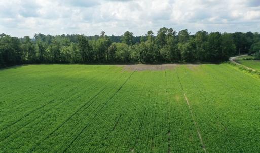 Photo #2 of SOLD property in Off John L Road, Maxton, NC 28.8 acres