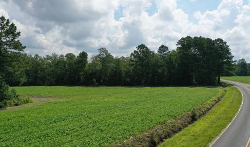 Photo #4 of SOLD property in Off John L Road, Maxton, NC 28.8 acres