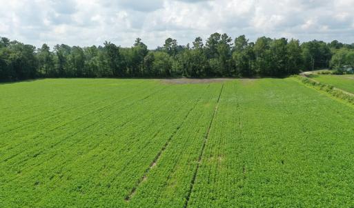 Photo #7 of SOLD property in Off John L Road, Maxton, NC 28.8 acres