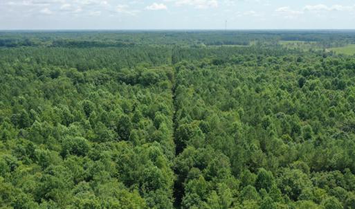 Photo #2 of SOLD property in Off Adcock Road, Enfield, NC 58.0 acres