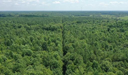 Photo #2 of SOLD property in Off Adcock Road, Enfield, NC 58.0 acres