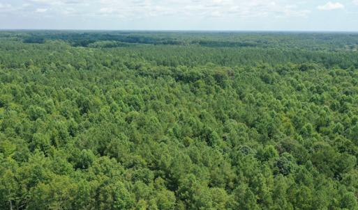 Photo #3 of SOLD property in Off Adcock Road, Enfield, NC 58.0 acres