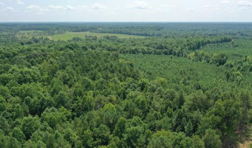 Photo #5 of SOLD property in Off Adcock Road, Enfield, NC 58.0 acres