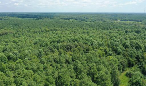 Photo #7 of SOLD property in Off Adcock Road, Enfield, NC 58.0 acres