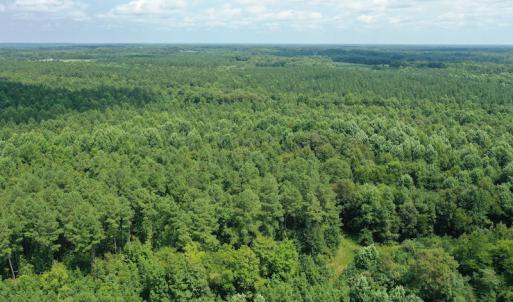 Photo #8 of SOLD property in Off Adcock Road, Enfield, NC 58.0 acres