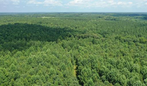 Photo #10 of SOLD property in Off Adcock Road, Enfield, NC 58.0 acres