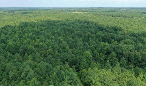 Photo #11 of SOLD property in Off Adcock Road, Enfield, NC 58.0 acres