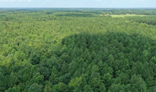 Photo #15 of SOLD property in Off Adcock Road, Enfield, NC 58.0 acres