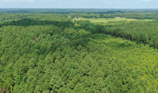 Photo #17 of SOLD property in Off Adcock Road, Enfield, NC 58.0 acres