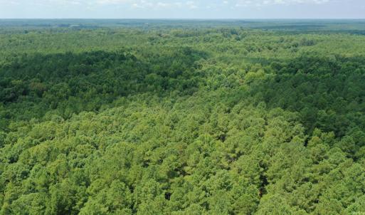 Photo #18 of SOLD property in Off Adcock Road, Enfield, NC 58.0 acres