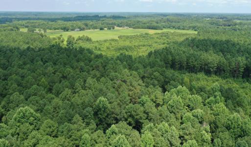Photo #20 of SOLD property in Off Adcock Road, Enfield, NC 58.0 acres