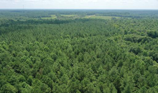 Photo #22 of SOLD property in Off Adcock Road, Enfield, NC 58.0 acres