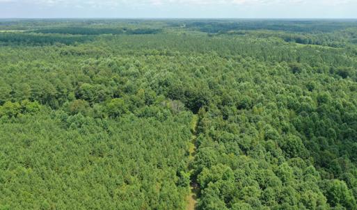 Photo #26 of SOLD property in Off Adcock Road, Enfield, NC 58.0 acres