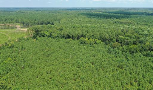 Photo #27 of SOLD property in Off Adcock Road, Enfield, NC 58.0 acres