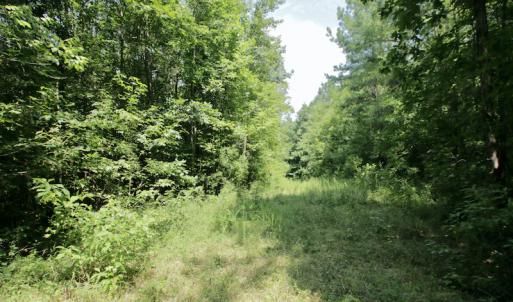 Photo #31 of SOLD property in Off Adcock Road, Enfield, NC 58.0 acres