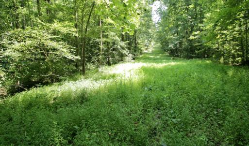 Photo #36 of SOLD property in Off Adcock Road, Enfield, NC 58.0 acres
