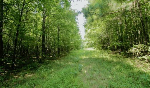Photo #38 of SOLD property in Off Adcock Road, Enfield, NC 58.0 acres