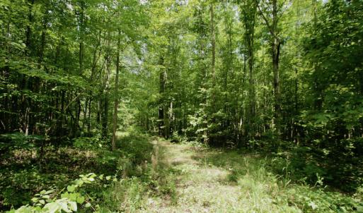 Photo #41 of SOLD property in Off Adcock Road, Enfield, NC 58.0 acres