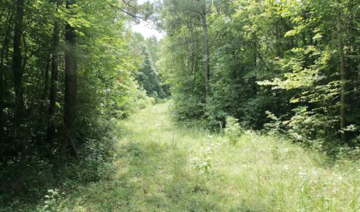 Photo #45 of SOLD property in Off Adcock Road, Enfield, NC 58.0 acres