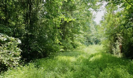 Photo #48 of SOLD property in Off Adcock Road, Enfield, NC 58.0 acres
