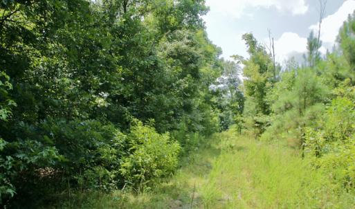 Photo #49 of SOLD property in Off Adcock Road, Enfield, NC 58.0 acres