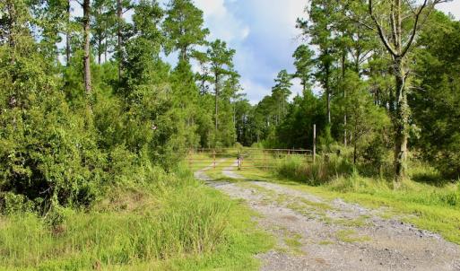 Photo #22 of SOLD property in 545 Whealton Point Rd., Aurora, NC 4.9 acres