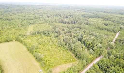 Photo #2 of SOLD property in Off Shippings Road, McKenney, VA 47.5 acres